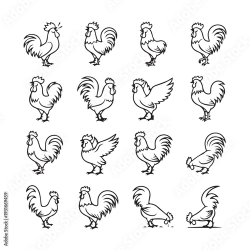 Rooster Collection Various Poses Outline Vector Illustration Simple Barnyard Fowl Graphics