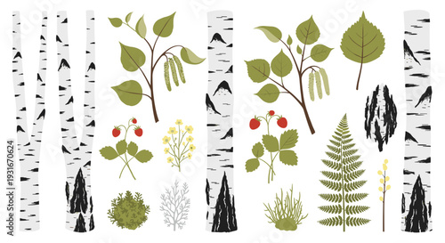 Collection of stylized birch trees, wild strawberries, ferns, and delicate wildflowers representing a forest ecosystem and natural beauty