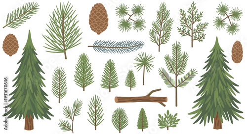 Collection of Pine Tree Branches Pinecones and Forest Elements for Nature Designs and Winter Themes