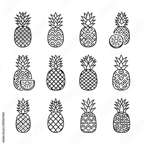 Pineapple Pattern Collection Vector Icons Tropical Fruit Set