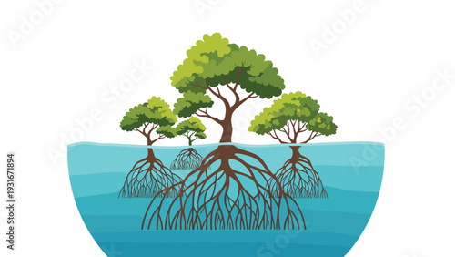 Mangrove forest illustration shows trees with complex root systems partially submerged in clear blue water on a white background.