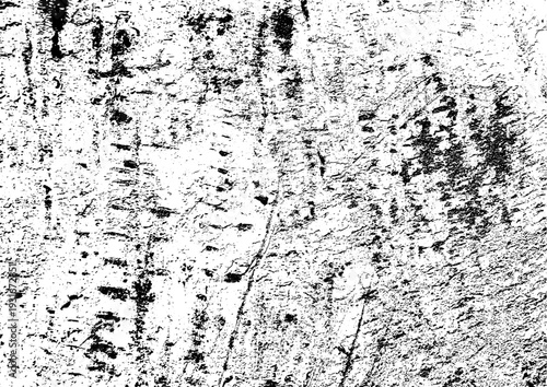 Large vector concrete texture with a transparent background