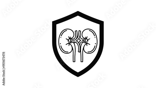 Simple black and white line art of a protective shield containing a detailed illustration of human kidneys in the center.