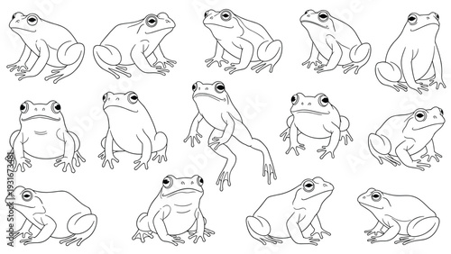 Set of thirteen different frogs in various poses including sitting, jumping, and looking forward in black and white line art.