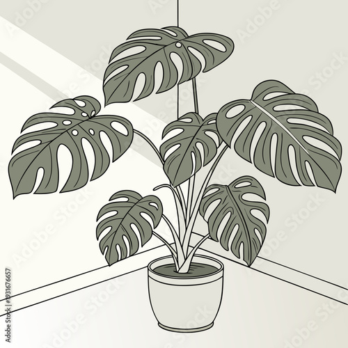 Monstera Deliciosa Plant in a Pot Minimalist Illustration.