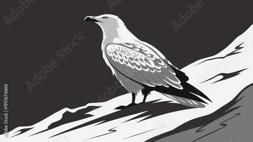 Majestic seagull perched on a rocky cliffside with a dramatic dark background.