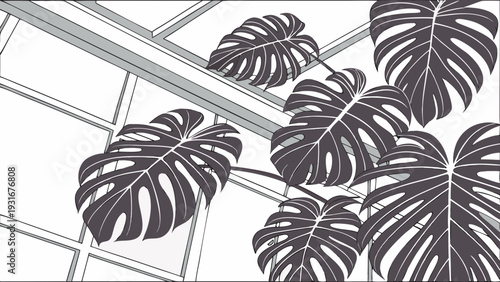 Monstera Deliciosa Leaves in a Modern Greenhouse Setting.