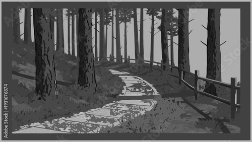 Path through a dense forest with tall trees and dappled sunlight.