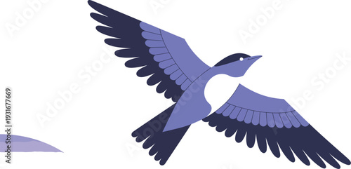 Bird in Flight Illustration