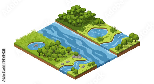 Isometric illustration of a river flowing through a wetlands area with lush greenery and trees on both banks, promoting conservation and ecology