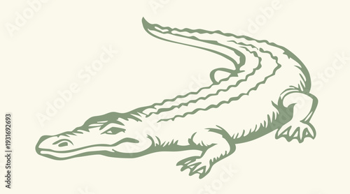 Vector drawing. The crocodile lies on the ground