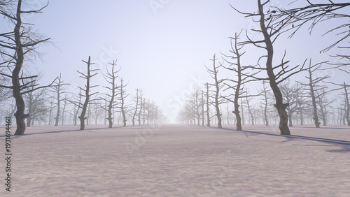 3D render Bare trees in a winter landscape. Low winter sun shining through bare trees over a frosty meadow. A row of bare tree silhouettes on a foggy winter morning. Atmospheric forest at sunrise