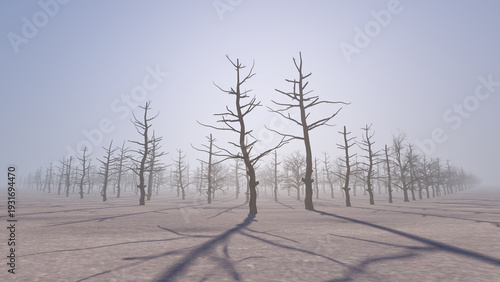3D render Bare trees in a winter landscape. Low winter sun shining through bare trees over a frosty meadow. A row of bare tree silhouettes on a foggy winter morning. Atmospheric forest at sunrise