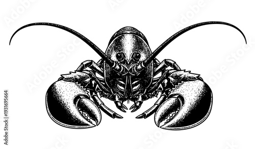 Vintage Lobster Head Engraving Vector Illustration