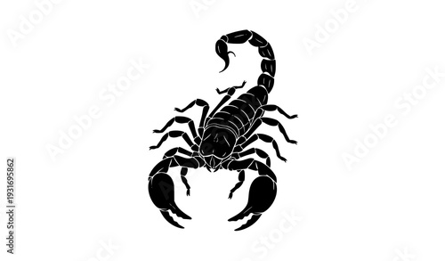 Black Scorpion Silhouette Vector on White Background