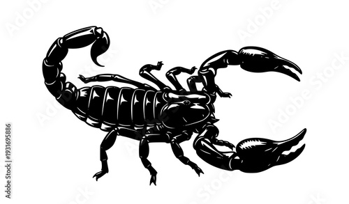 Scorpion Vector Drawing – Black Silhouette Illustration