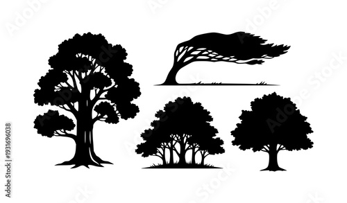 Vintage oak tree silhouette vector collection with old trunk woodland forest shapes isolated on white