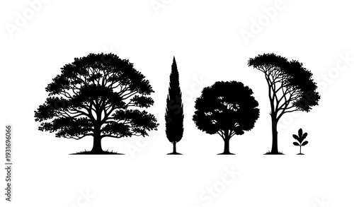 Oak tree silhouette vector set with mature spreading canopy and natural forest tree shapes isolated on white
