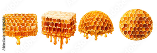A charming watercolor collection of honeycomb pieces, including dripping golden honey.