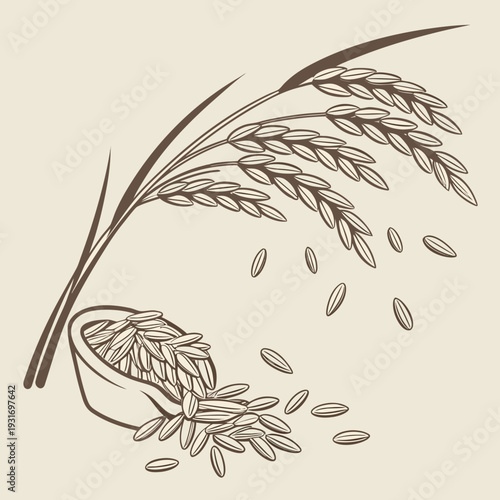 Brown rice grains spilling from stalk and bowl loose rice grains