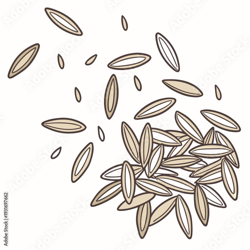 Loose rice grains with natural spacing minimal loose grains