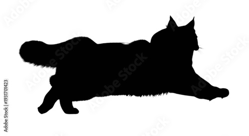 Silhouette of a sleek black cat in mid-stride motion against a plain background