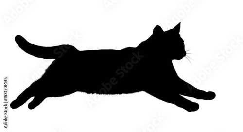 Graceful silhouette of a black cat mid-leap in dynamic motion