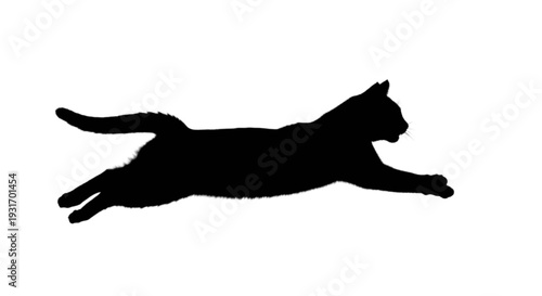 A dynamic silhouette of a cat captured mid-leap in motion