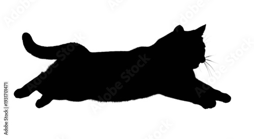 Silhouette of a sleek black cat mid-leap with graceful poise and dynamic movement