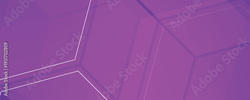 Modern banner purple background with hexagon lines. Vector eps10