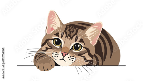 Close up illustration of a curious brown tabby cat peeking over a horizontal white surface with its paws resting.