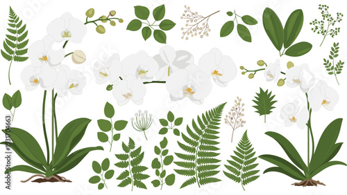 Elegant collection of white orchid flowers, green ferns, and various leaves for sophisticated botanical arrangements and decor.
