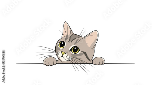 Adorable gray tabby kitten peeking over a white horizontal edge with its paws visible and large curious eyes looking upwards.