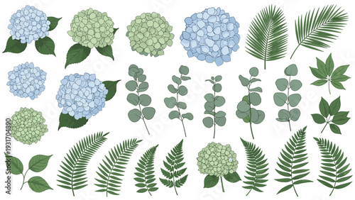 Collection of blue and green hydrangea flower heads with various types of leaves and fern fronds for spring and summer themes.