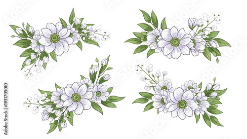 Collection of elegant hand-drawn white anemone flower bouquets with lush green leaves and delicate buds isolated on white background for design.
