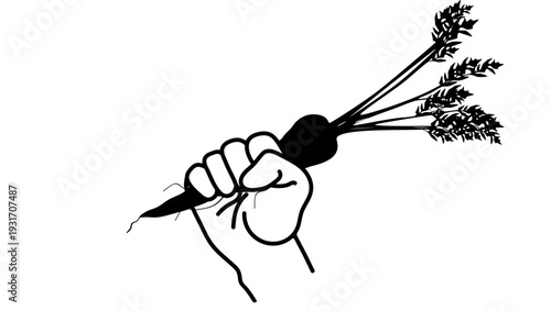 hand holding a carrot , black isolated silhouette