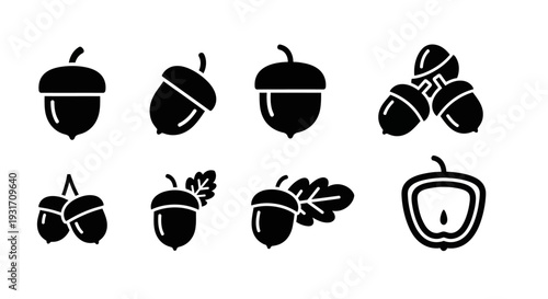 Black and White Acorn Illustrations