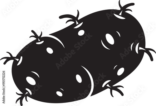 Two kiwis with fuzzy skin and visible seeds depicted in a simple black illustration on a plain white background viewed from a slight angle