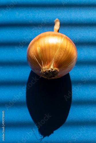 Onion on blue background 