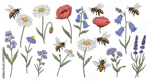 Colorful flowers and buzzing bees illustration
