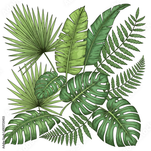 Lush collection of exotic tropical rainforest leaves, featuring diverse botanical illustrations in vibrant green, ideal for decorative patterns and natural design elements