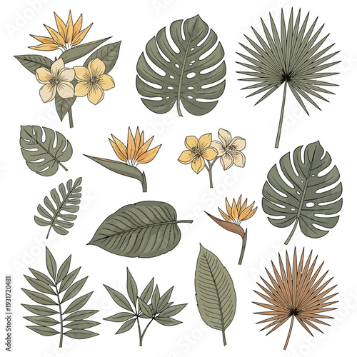 Exotic botanical paradise collection featuring a diverse assortment of lush tropical leaves and vibrant floral elements, perfect for nature-inspired designs and vibrant summer themes