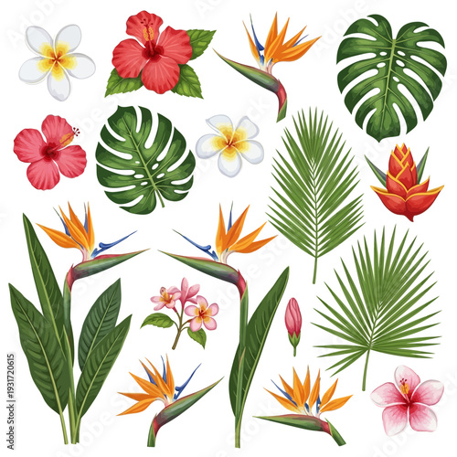 Vibrant collection of exotic tropical flowers and botanical leaves, featuring hibiscus, plumeria, and bird of paradise, perfect for summer designs and island-themed projects