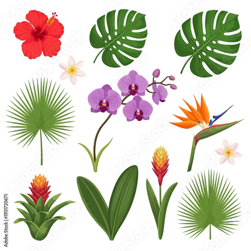 Exotic tropical flowers and lush leaves vector collection. Vibrant botanical set with hibiscus, orchids, monstera, and palm fronds, ideal for summer designs