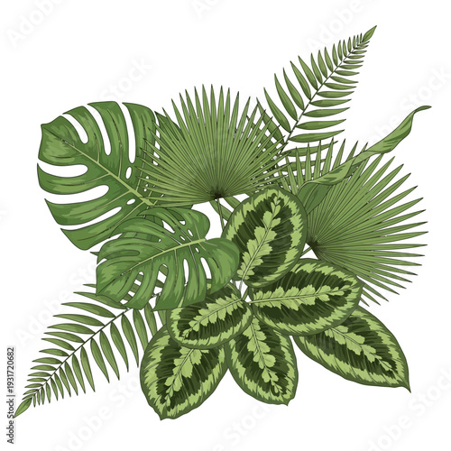 Vibrant botanical illustration featuring a lush arrangement of various green tropical leaves, perfect for exotic nature-inspired designs and decor projects