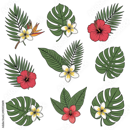 Collection of vibrant tropical botanical illustrations featuring various exotic leaves and colorful blossoms perfect for summer designs and lush jungle themes
