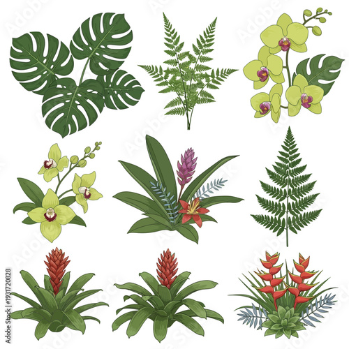 A vibrant and exotic collection of tropical plants and blooming flowers, including monstera leaves, ferns, orchids, and bromeliads, ideal for botanical designs