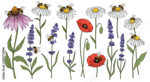 Colorful flowers and busy bees in garden