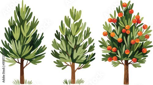 Collection of three stylized trees with green foliage, tall narrow leaves, dense rounded canopy, and fruit-bearing design featuring orange berries, orative nature artwork, and botanical illustration
