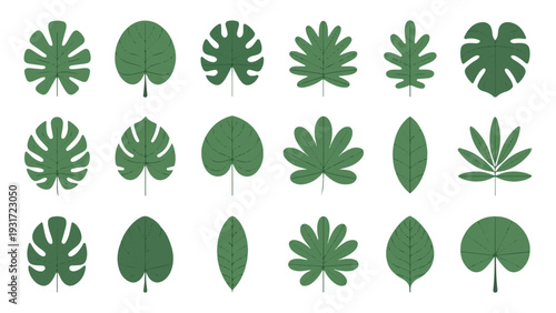 Green tropical leaves icons set, exotic jungle foliage collection, flat plant elements